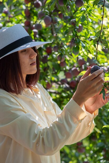 Bella ragazza con un cappello che raccoglie un raccolto di frutti dall'albero