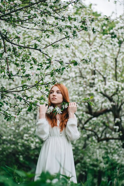 Bella ragazza dai capelli rossi in un abito bianco tra meli in fiore nel giardino