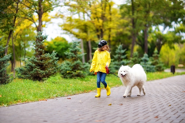 Bella ragazza in stivali di gomma gialli e impermeabile durante una passeggiata, gioca con un bellissimo cane Samoiedo bianco nel parco d'autunno.