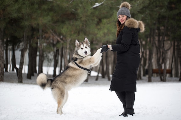 Bella ragazza nella foresta invernale con cane. Gioca con il cane Siberian Husky.