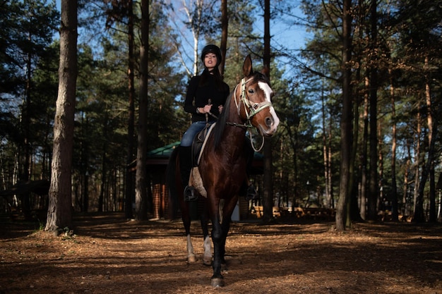 Bella ragazza seduta su un cavallo all'aperto