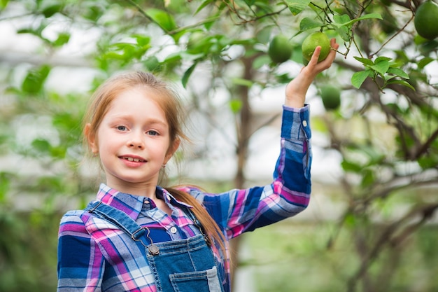 bella ragazza vicino a un albero con limoni in un giardino in serra