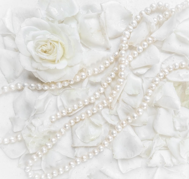 Bella rosa bianca con petali e collana di perle su sfondo bianco Ideale per biglietti di auguri