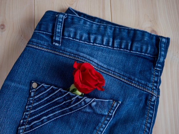 Bella rosa rossa nella tasca dei jeans