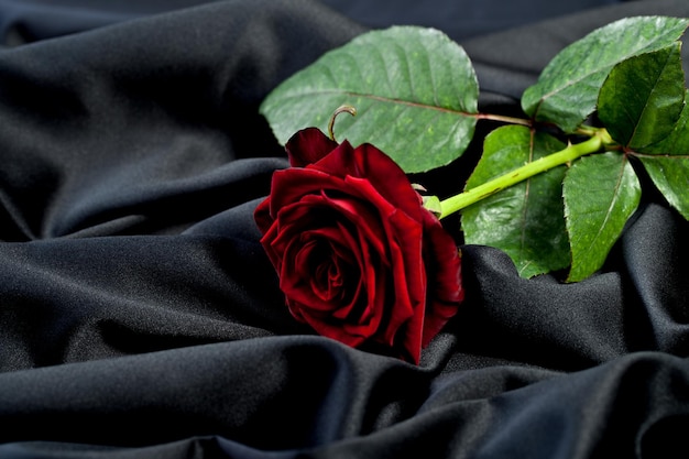 bella rosa rossa su uno sfondo di seta satinata nera