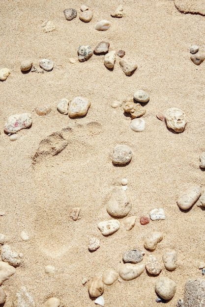 Bella sabbia vicino al mare sullo sfondo della natura
