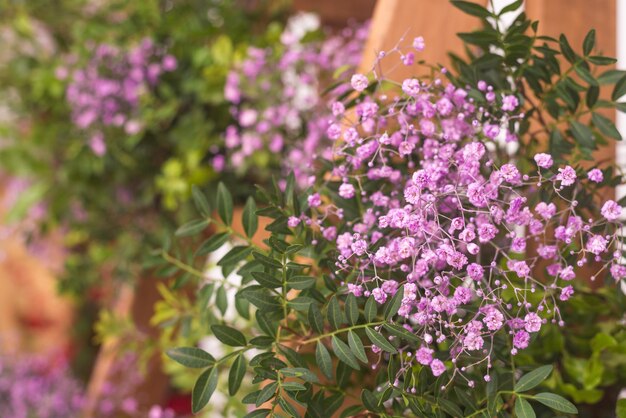 Bella scala a pioli decorata con cespugli di fiori su sfondo bianco