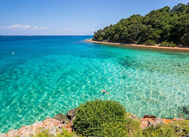 Bella scena della natura