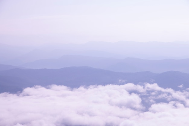 Bella scena, la montagna di montagna ha una bellissima nebbia mattutina.