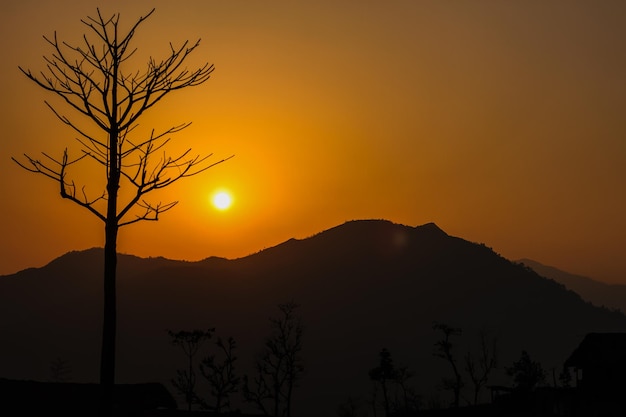 Bella silhouette al tramonto sulle colline con alberi a Khotang, Nepal
