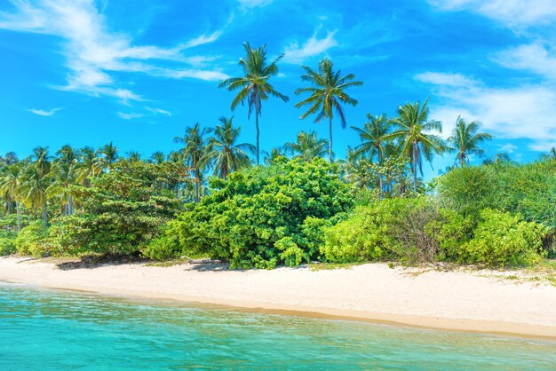 Bella spiaggia all'isola tropicale con palme, sabbia bianca e mare blu