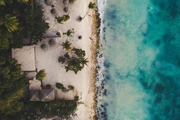 Bella spiaggia caraibica nella Repubblica Dominicana Veduta aerea astratta del paesaggio estivo idilliaco tropicale con palme verdi mare costa e sabbia bianca Viaggia sfondo piatto con copyspace