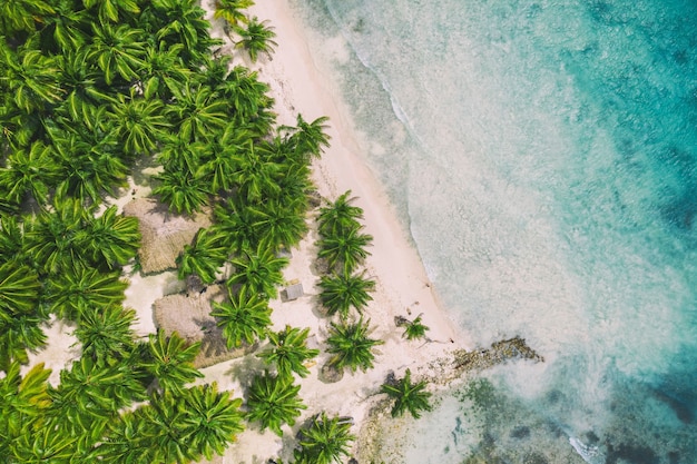 Bella spiaggia caraibica sull'isola di Saona, Repubblica dominicana. Vista aerea del paesaggio estivo idilliaco tropicale con palme verdi, costa del mare e sabbia bianca