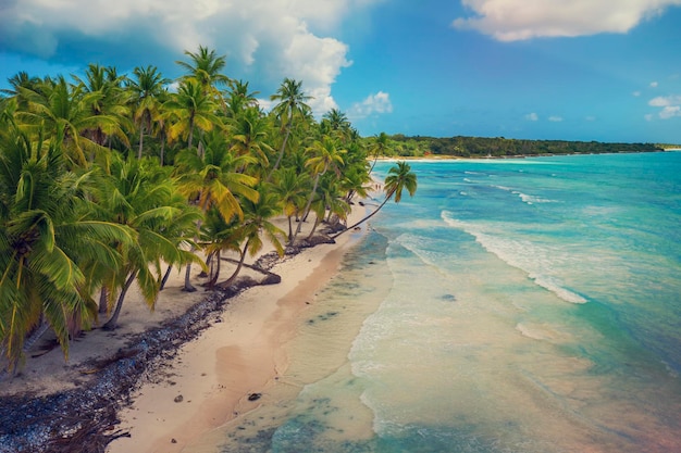 Bella spiaggia caraibica sull'isola di Saona, Repubblica dominicana. Vista aerea del paesaggio estivo idilliaco tropicale con palme verdi, costa del mare e sabbia bianca