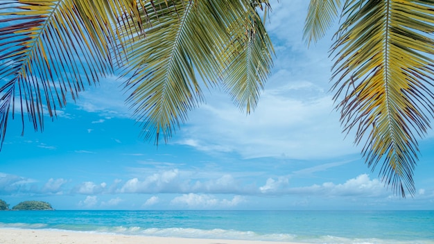 Bella spiaggia con palme e cielo lunatico Concetto di sfondo per le vacanze di viaggio per le vacanze estive