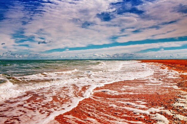 Bella spiaggia deserta Mar d'Azov Crimea