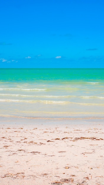 Bella spiaggia di sabbia bianca e acqua turchese Sfondo verticale della spiaggia estiva per le vacanze