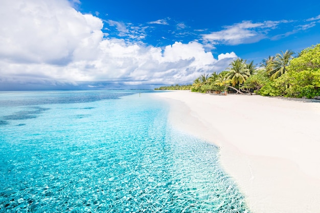 Bella spiaggia e mare tropicale. Meravigliosa natura della spiaggia, scenario delle Maldive, vista perfetta dell'esotico