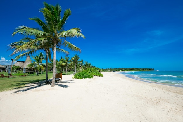 Bella spiaggia e mare tropicale