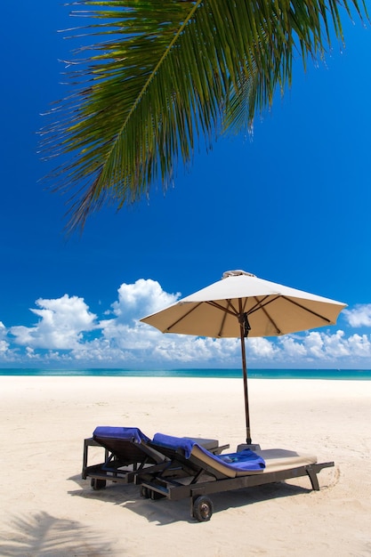 Bella spiaggia e mare tropicale