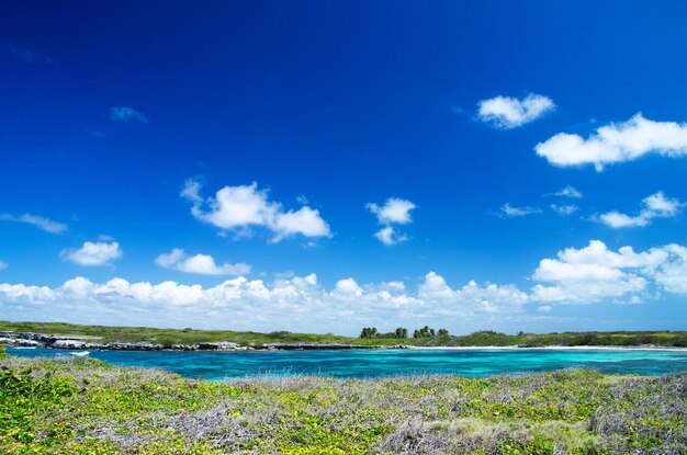 Bella spiaggia e mare tropicale