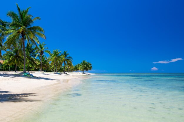 Bella spiaggia e mare tropicale