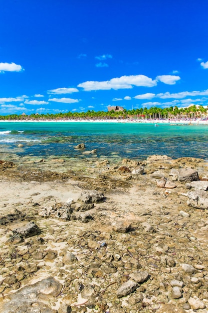 Bella spiaggia e mare tropicale