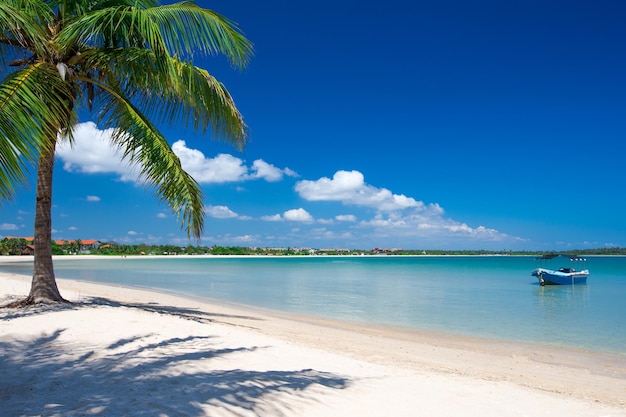 Bella spiaggia e mare tropicale