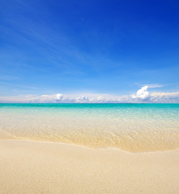 bella spiaggia e mare tropicale