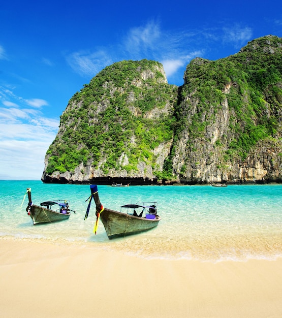 bella spiaggia e mare tropicale