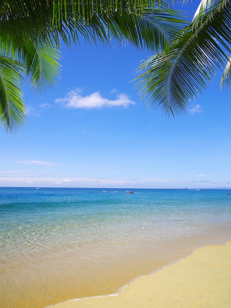 bella spiaggia e mare tropicale