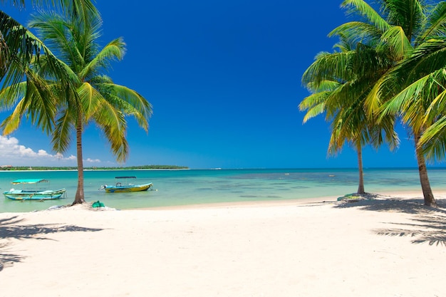 bella spiaggia e mare tropicale