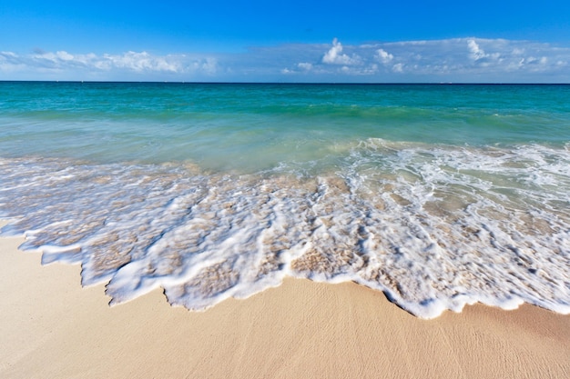 Bella spiaggia e mare