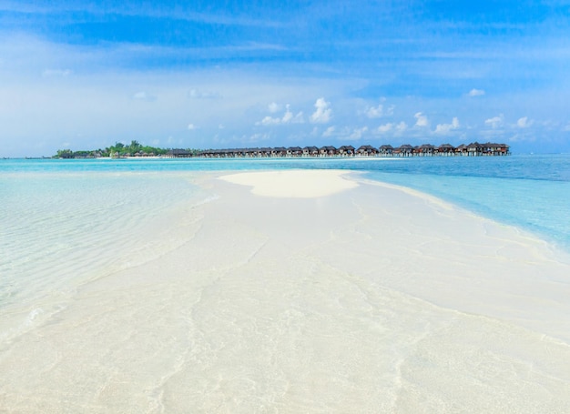 Bella spiaggia e seaxAxA tropicale