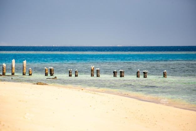 Bella spiaggia paradisiaca con sabbia bianca e acqua turchese nell'isola di Gulhi, Maldive