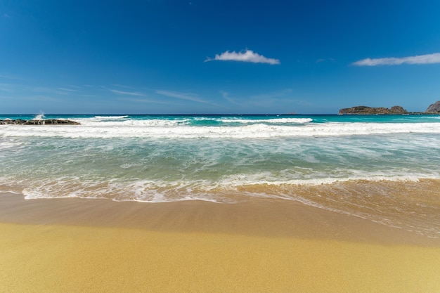 Bella spiaggia sabbiosa sullo sfondo del mare