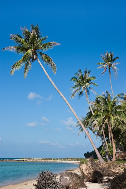 Bella spiaggia sull'isola di Samui, in Thailandia