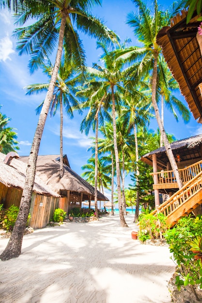 Bella spiaggia tropicale con palme, sabbia bianca, acqua dell'oceano turchese e cielo blu