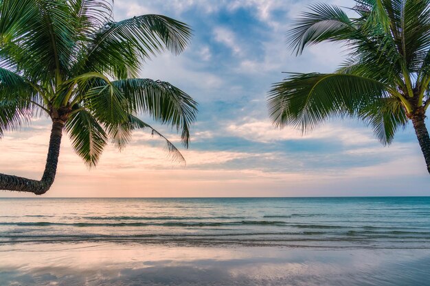 Bella spiaggia tropicale del mare e palma nel tramonto