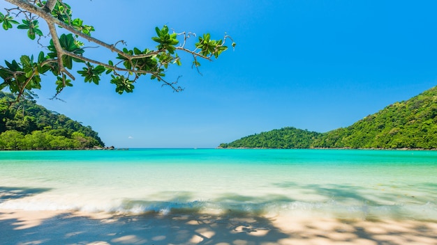 Bella spiaggia tropicale situata Surin isola, Thailandia