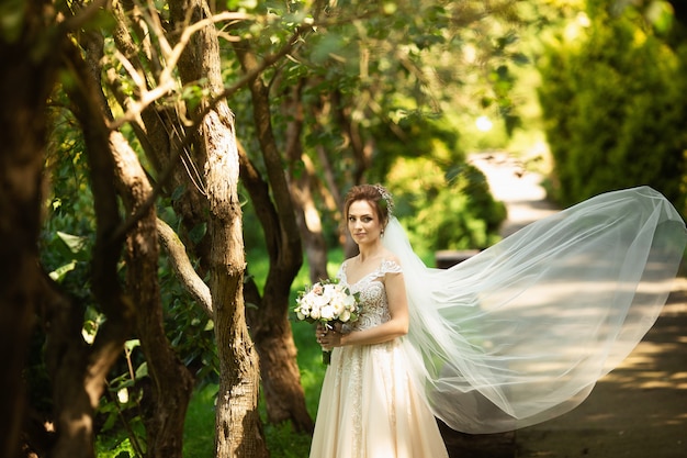 Bella sposa che cammina nel parco. Il velo da sposa disperde il vento. Ritratto di bellezza di una sposa intorno alla natura sorprendente