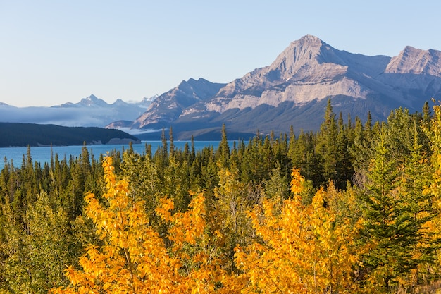 Bella stagione autunnale nelle montagne canadesi. Sfondo di caduta.