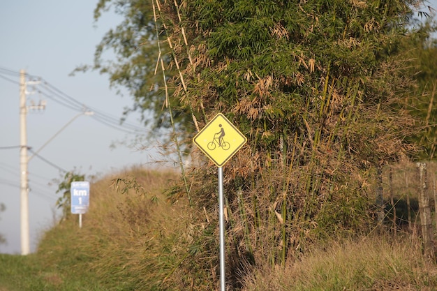 Bella strada asfaltata con segnaletica per ciclisti