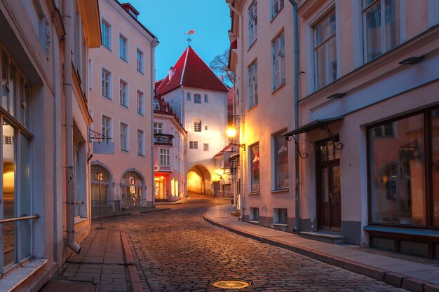 Bella strada medievale illuminata nel centro storico di Tallinn durante la sera, Estonia