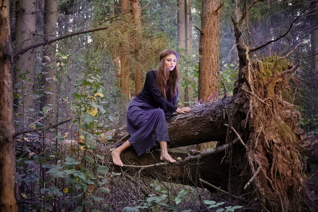 Bella strega che si siede su un tronco d'albero nella foresta