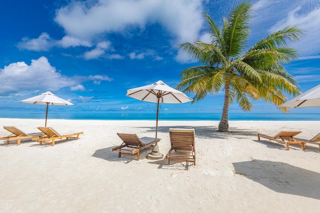 Bella vacanza al mare tropicale. Sabbia bianca e palme da cocco viaggi turismo, sedie ombrellone.