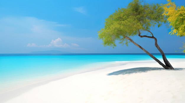 Bella vacanza estate spiaggia di sabbia spiaggia tropicale e sfondo del mare
