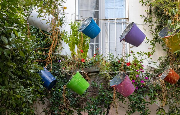 Bella veduta dei secchi decorativi con piante nella città di Ostuni