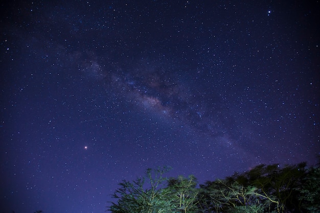 Bella via lattea di notte al campeggio Naivasha. Kenya