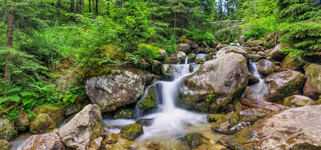 Bella vicino ecologia natura paesaggio insenatura di montagna. Flusso forestale astratto a lunga esposizione